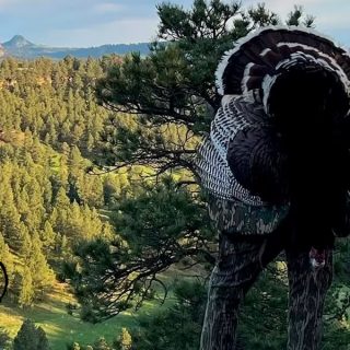 Turkey 04