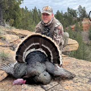 Turkey 12