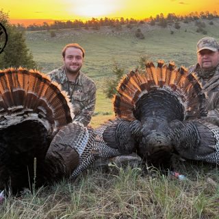 Turkey 13