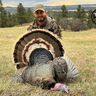 Turkey 14