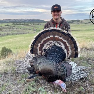 Turkey 15