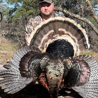 Turkey 18