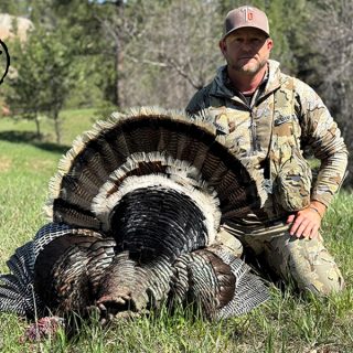 Turkey 19